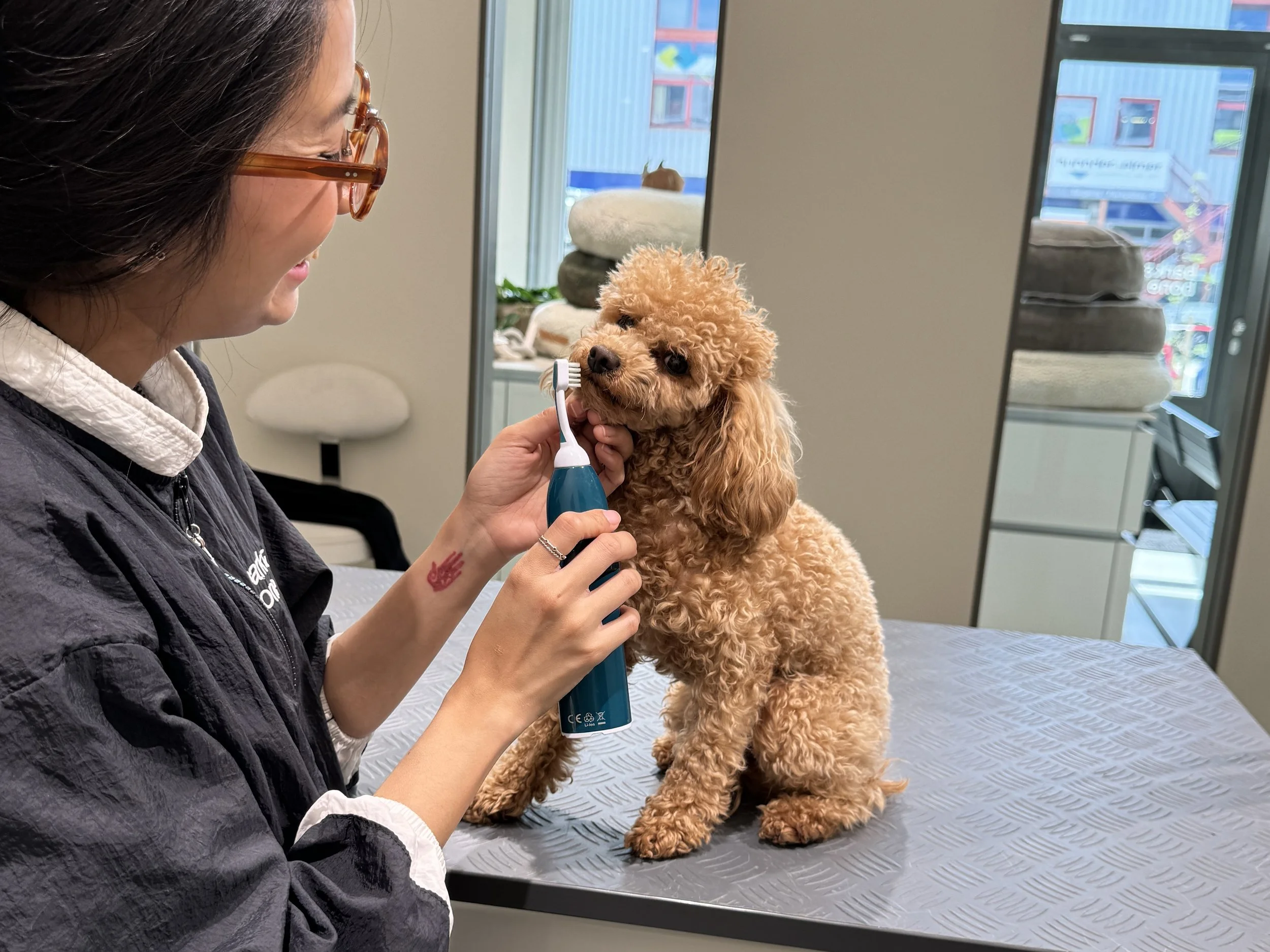 Healthy Coats & Happy Pets: Grooming Essentials at CreativeBoostCenter