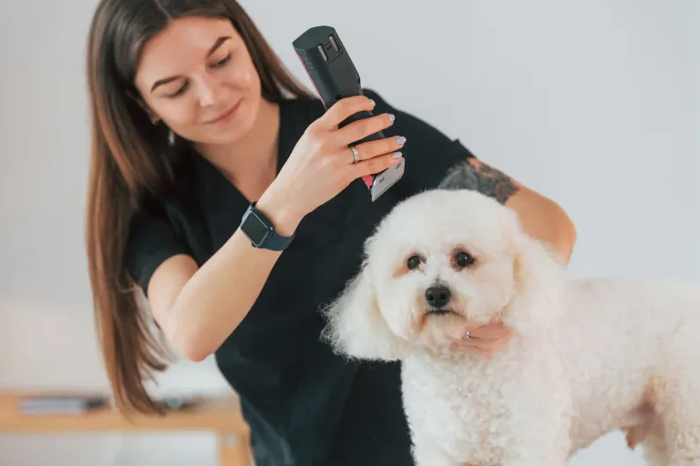 Happy Pets, Healthy Skin: The Link Between Grooming and Well-being